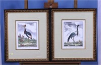 Framed French Print Of Bird 2X