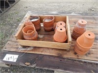 Box of small flower pots with trays
