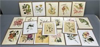 Botanical Fine Art Prints Lot Collection