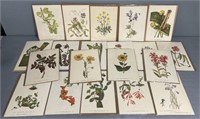 Fine Art Botanical Prints