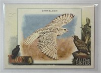 2023 Topps Allen & Ginter #TT-15 TALONted Falcon!