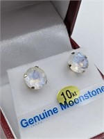 10k White Gold Moonstone Stud Earrings