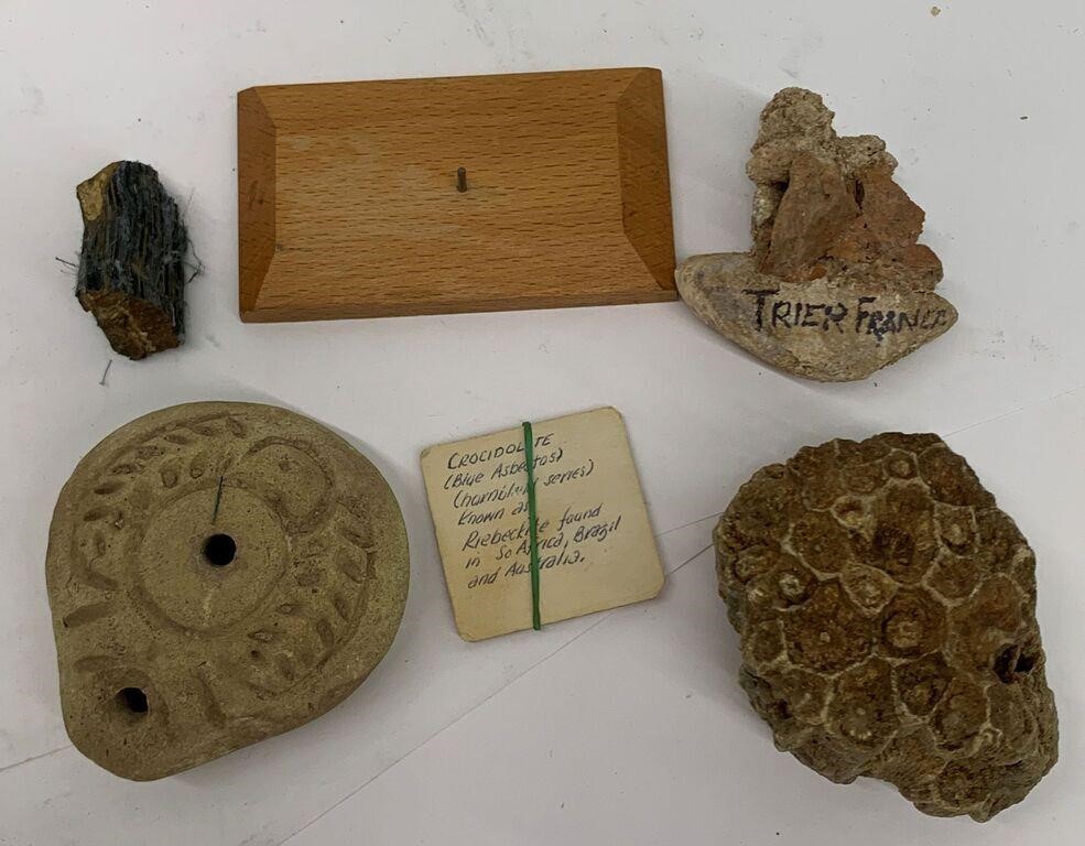 Group Of Fossils & Misc.
