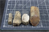 Petrified Wood Limb Pieces, Polished Ends, 4.1oz