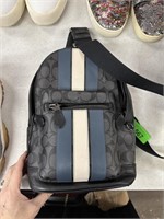 COACH DESIGNER BACKPACK