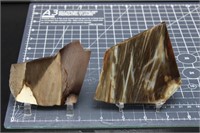 Petrified Wood (western U.s.), 2 Pieces, 6oz