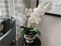 DECO ORCHID