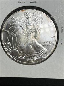 2002 American Silver Eagle Dollar Colorized