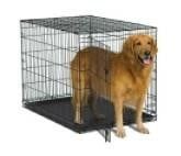 42" Folding Metal Dog Crate