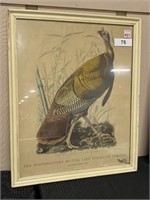 W.H. Lizars Engraved Pheasant Picture