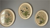 Collection of Framed Hummingbird Artwork