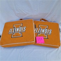 illini cushions