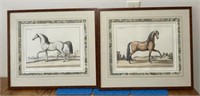 Pair of Framed Stallion Prints