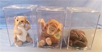 TY Beanie Babies in display boxes