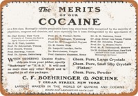 The Merits of Cocaine Reprint Poster