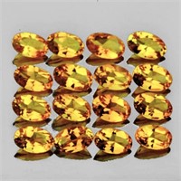 Natural Golden Yellow Citrine 16 Pcs  (Flawless-VV