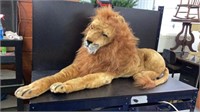 Brand New Plush Lion
4 ft. Long