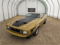 1973 FORD MUSTANG MACH 1 FASTBACK