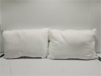 Beckham down alternative pillow set of 2