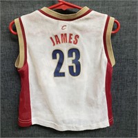 Lebron James, Toddlers Jersey Size 2T,Nike