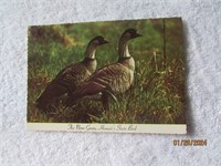 Postcard Scalloped Edge Nene Goose Hawaii State