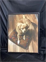 FRAMED ART / PUP PRINT / 21 x 17