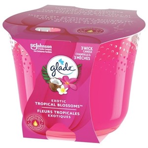 Glade Spring 3 Wick Scented Candle Air Freshener