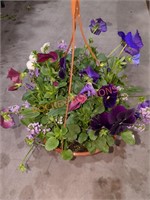 Flowers Medium Hanging Basket