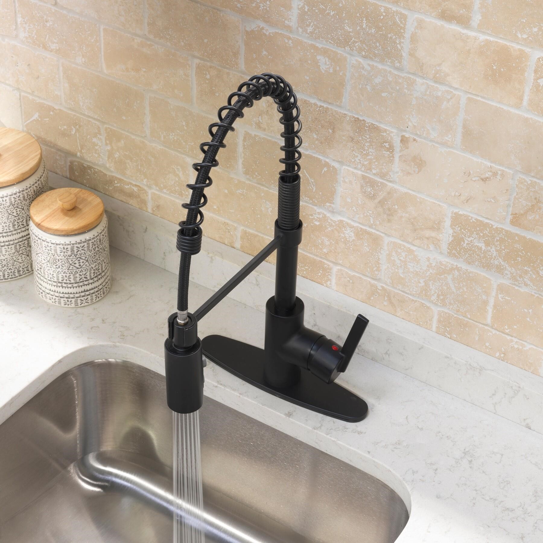 $139  Flynt Matte Black 1-Handle Pull-down Faucet