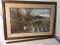Framed Deer Print by Michael Sieve