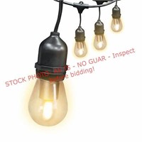 Feit Electric Flame Bulb String Lights