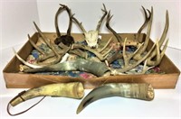 Selection of Real Horns & Antlers