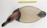 Lot #396 - Canvasback Drake turned head signed
