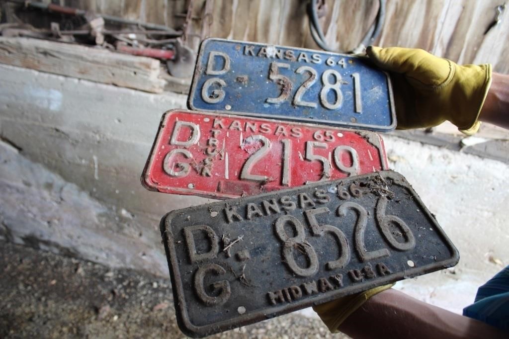 License Plate 1964, 1965, 1966