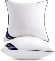 Siluvia 18x18 Pillow Inserts  2-Pack  Cotton