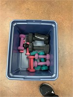 Small tote of weights