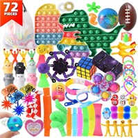 Fidget Toys Pack  72pc Autism Sensory Toys Bulk
