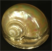 ARTIST SIGNED NATURAL SHELL WITH STERLING BUCKLE