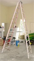 10' Werner Fiberglass Ladder