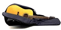Washburn Guitar, Acoustic Model D8Pak