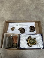 Ammonites Fossils, rocks, and turtle metal box