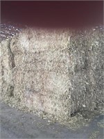 (10) Bales of Corn Fodder