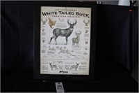 White Tailed Buck Unlimited sign by Ryan Kirby