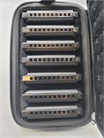 Hohner Harmonica Set