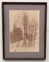 Winter trees artwork