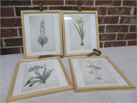 4 Floral Framed Prints