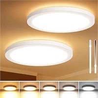 LED Flush Mount Ceiling Light Set of 2