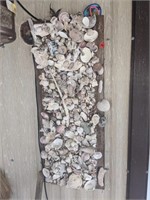 Outdoor / Garden décor Seashells (Front Porch)