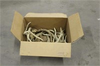 Box Of Antlers