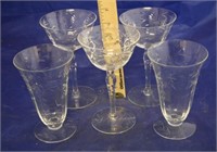 Set of 5 Etched Glasses (5pc)